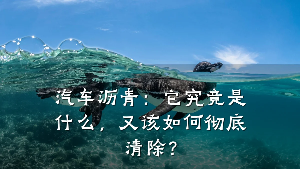 汽车沥青:它究竟是什么,又该如何彻底清除?