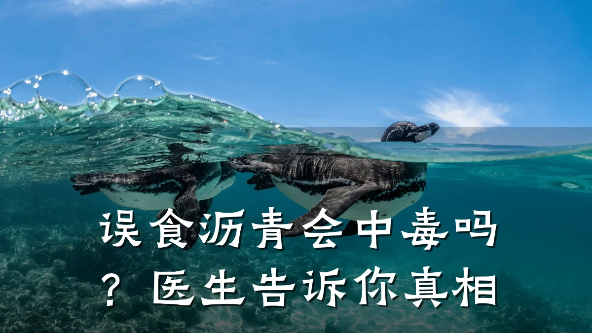 误食沥青会中毒吗?医生告诉你真相