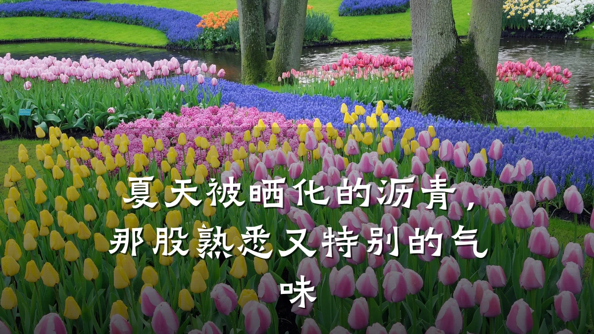夏天被晒化的沥青，那股熟悉又特别的气味