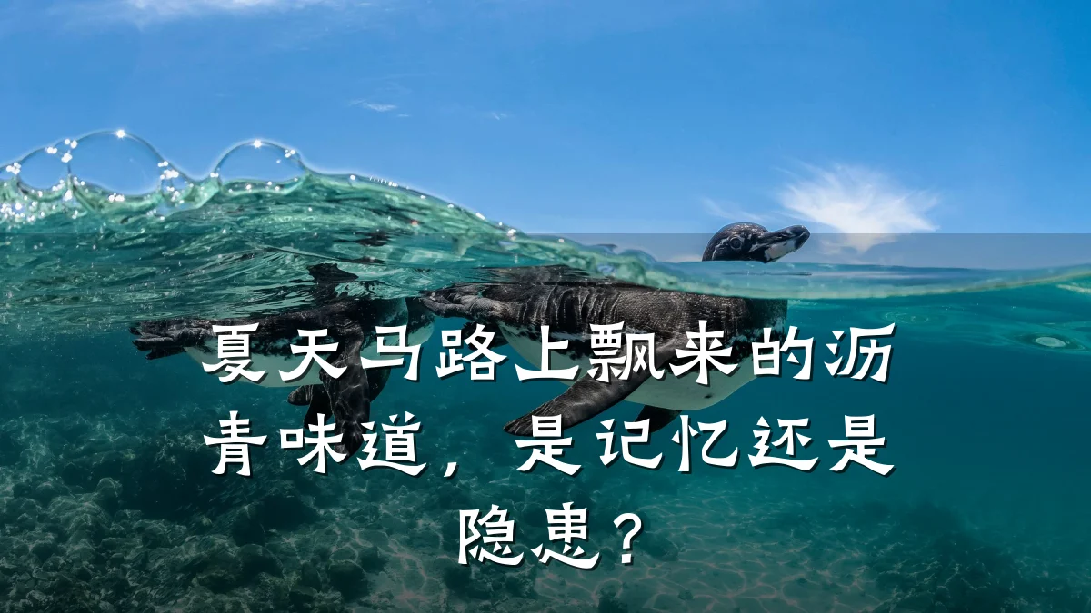 夏天马路上飘来的沥青味道,是记忆还是隐患?