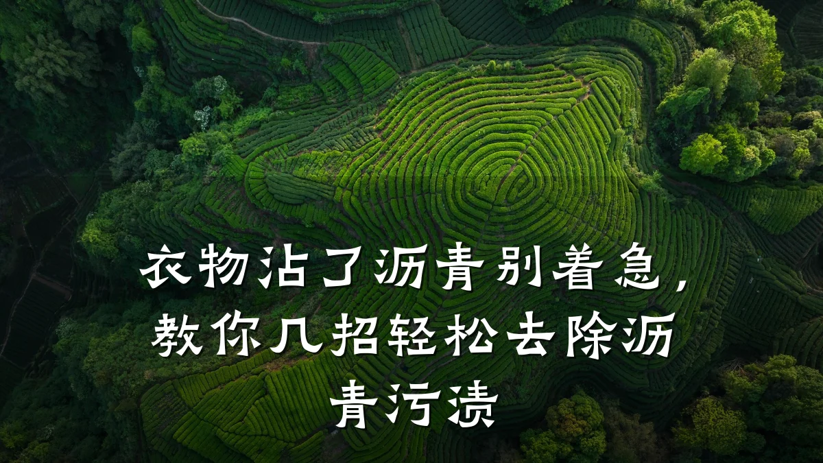 衣物沾了沥青别着急，教你几招轻松去除沥青污渍