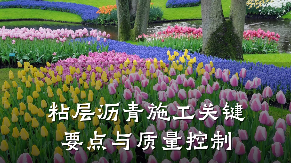 粘层沥青施工关键要点与质量控制