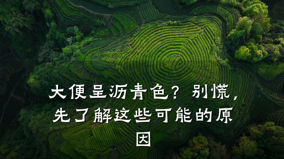 大便呈沥青色？别慌，先了解这些可能的原因