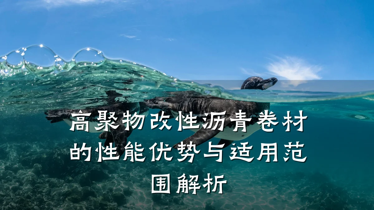 高聚物改性沥青卷材的性能优势与适用范围解析