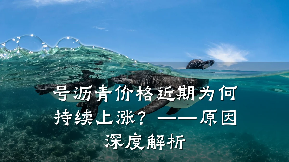 号沥青价格近期为何持续上涨？——原因深度解析