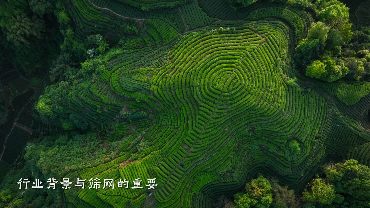 行业背景与筛网的重要
