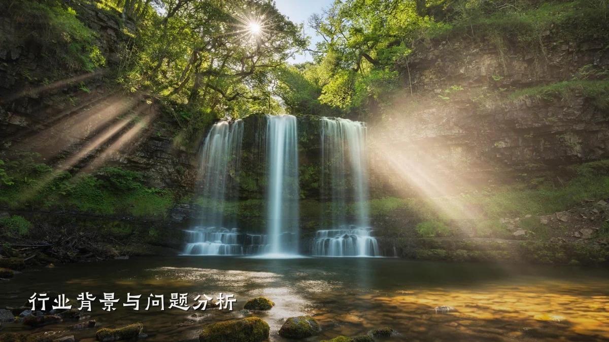 行业背景与问题分析