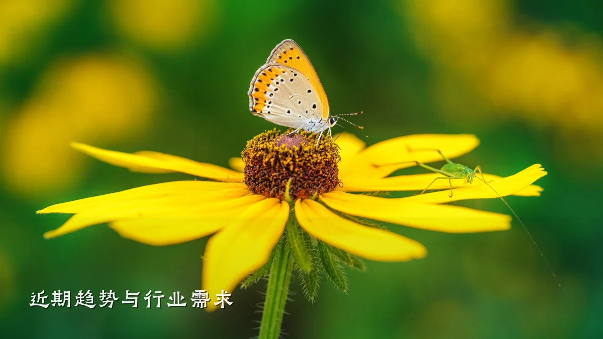 近期趋势与行业需求