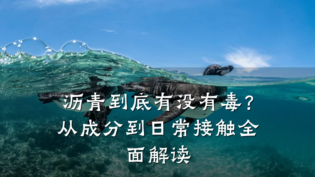 沥青到底有没有毒？从成分到日常接触全面解读