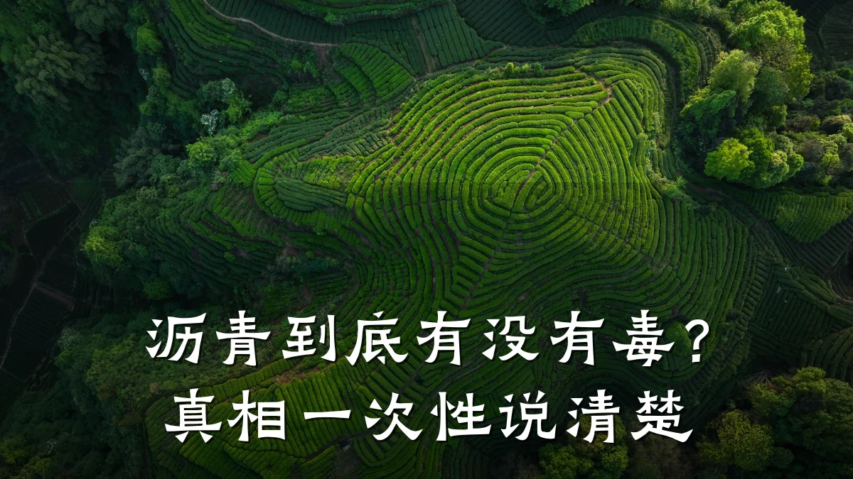 沥青到底有没有毒?真相一次性说清楚
