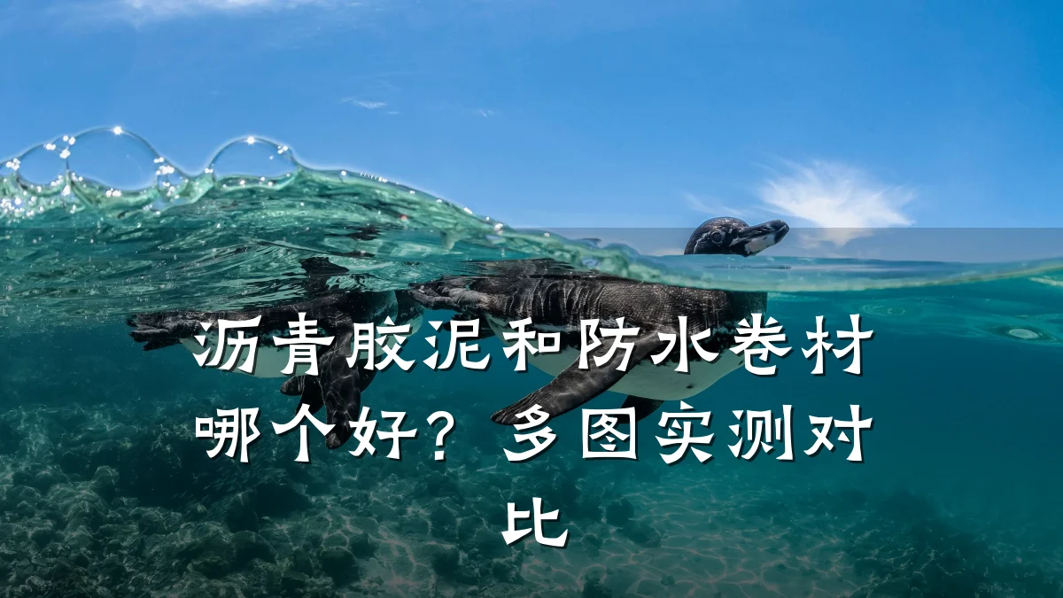 沥青胶泥和防水卷材哪个好?多图实测对比