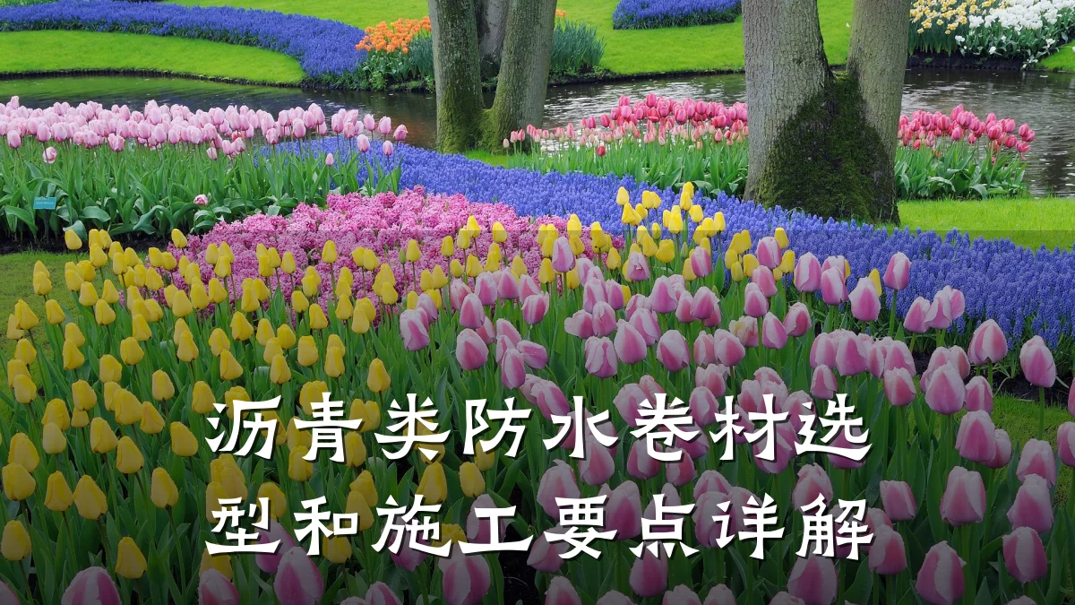 沥青类防水卷材选型和施工要点详解