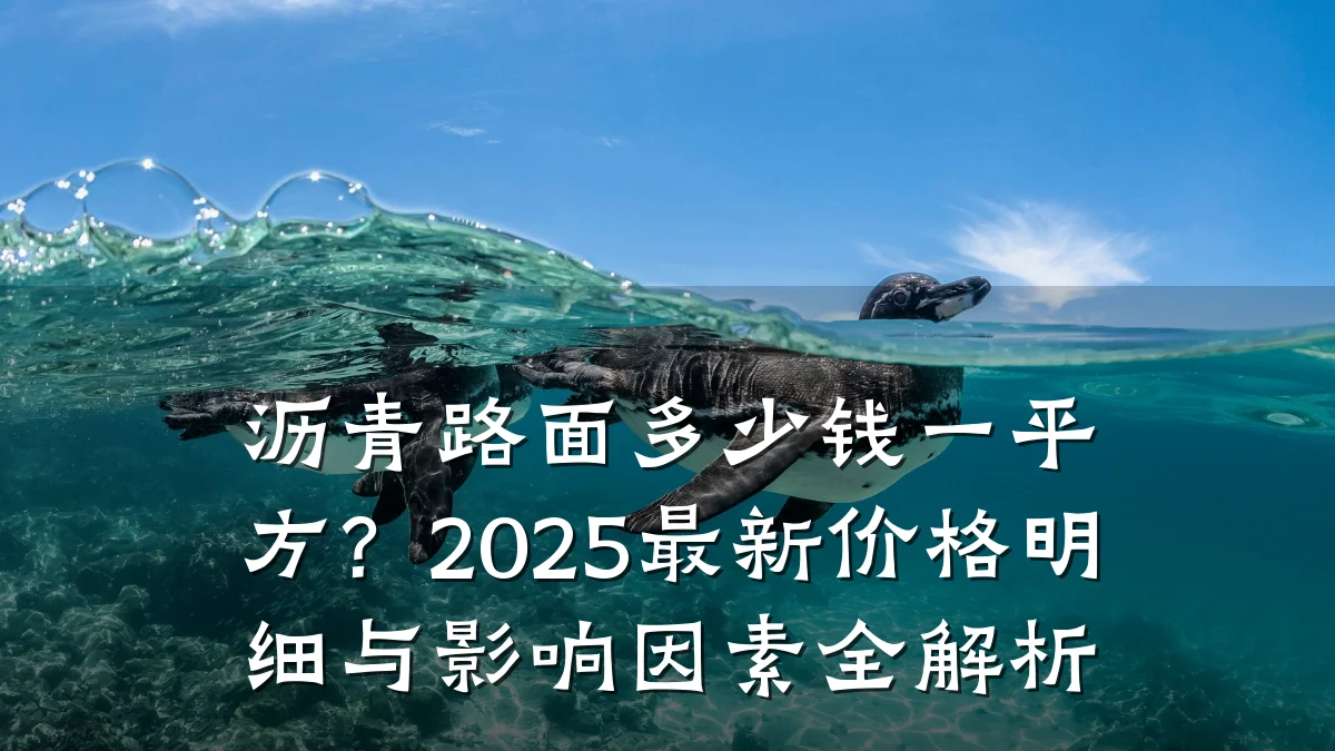 沥青路面多少钱一平方？2025最新价格明细与影响因素全解析