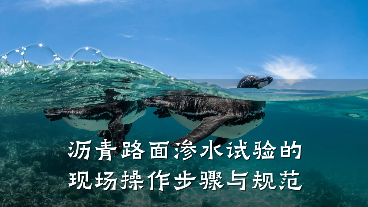 沥青路面渗水试验的现场操作步骤与规范
