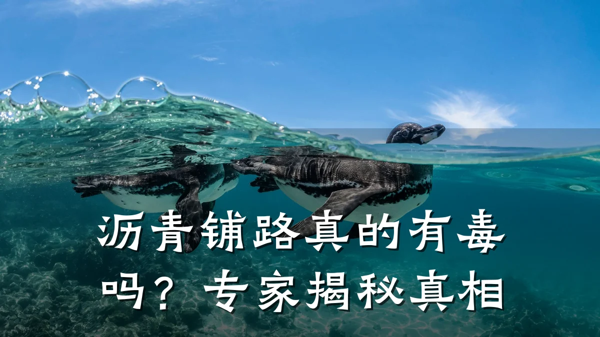 沥青铺路真的有毒吗?专家揭秘真相