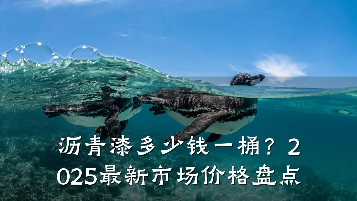 沥青漆多少钱一桶？2025最新市场价格盘点