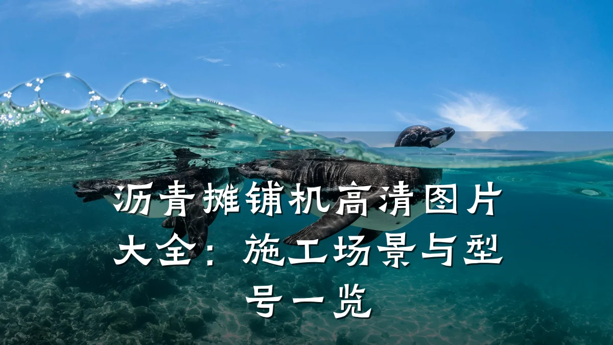 沥青摊铺机高清图片大全:施工场景与型号一览