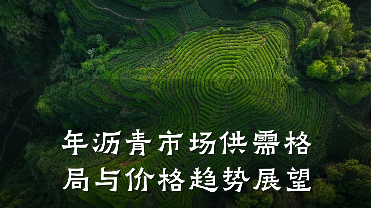 年沥青市场供需格局与价格趋势展望