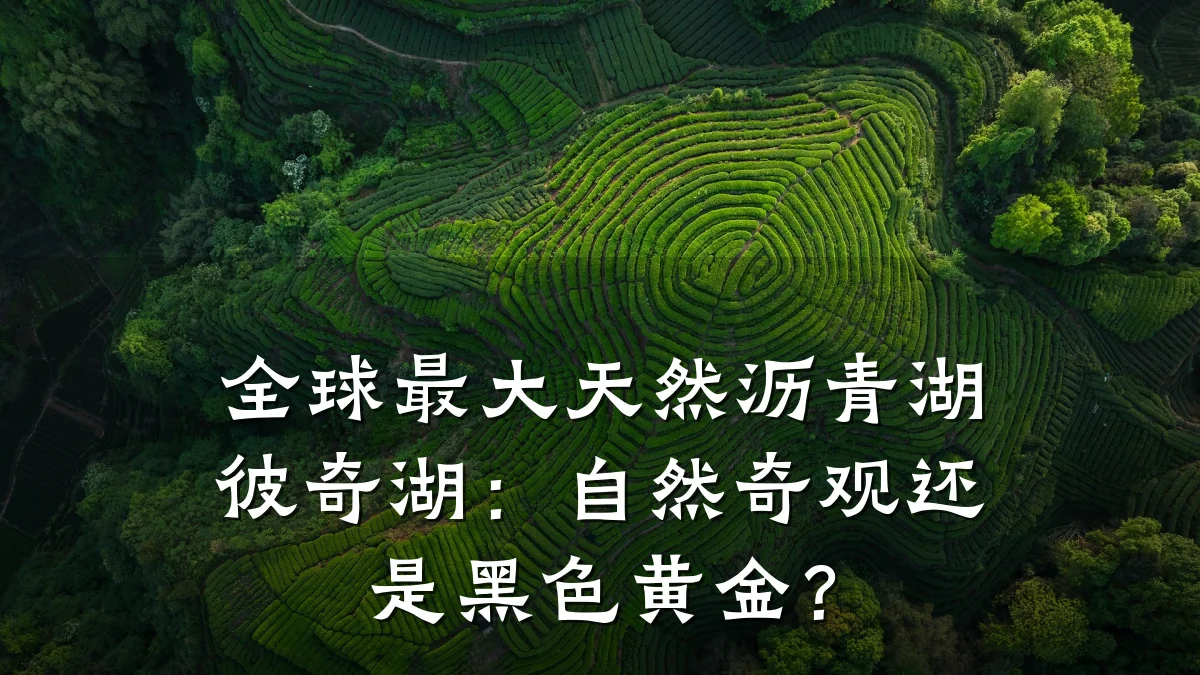 全球最大天然沥青湖彼奇湖：自然奇观还是黑色黄金？
