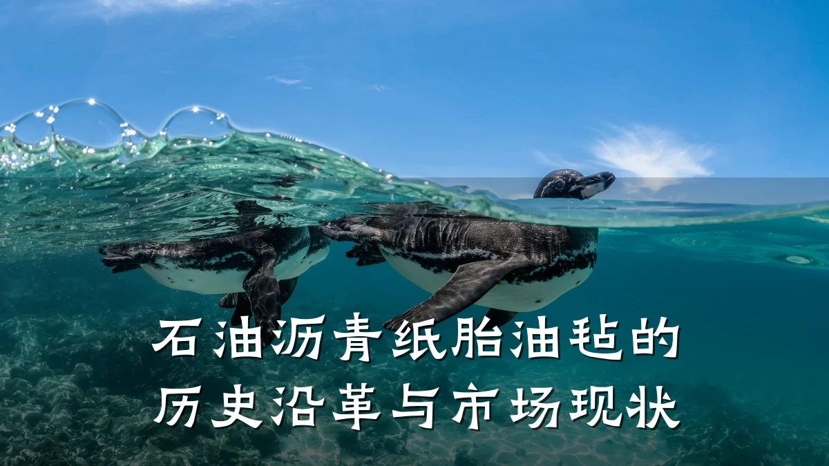 石油沥青纸胎油毡的历史沿革与市场现状