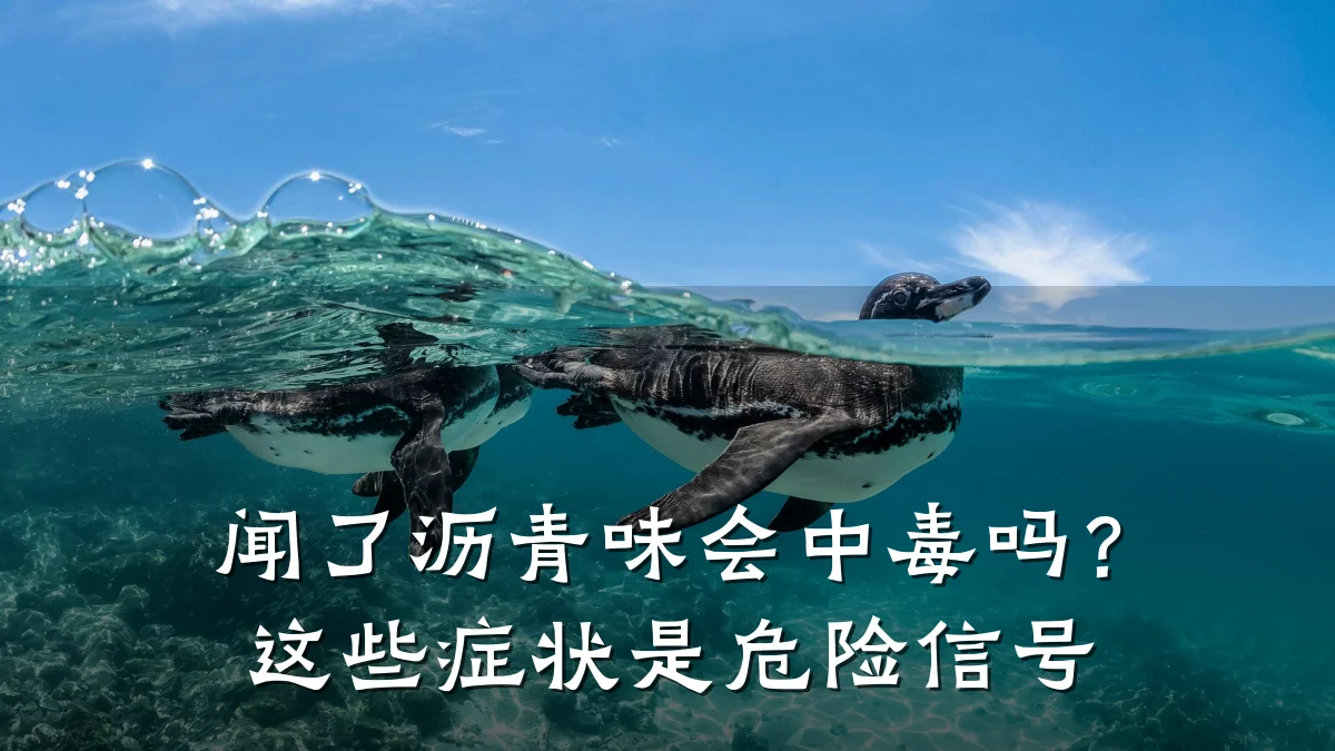 闻了沥青味会中毒吗?这些症状是危险信号