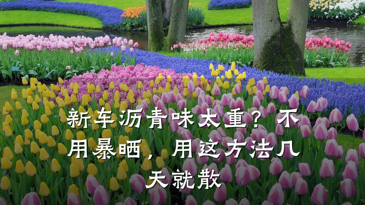 新车沥青味太重？不用暴晒，用这方法几天就散