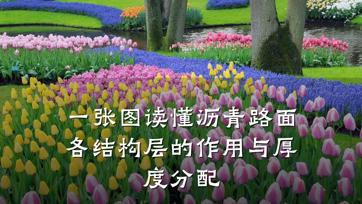 一张图读懂沥青路面各结构层的作用与厚度分配