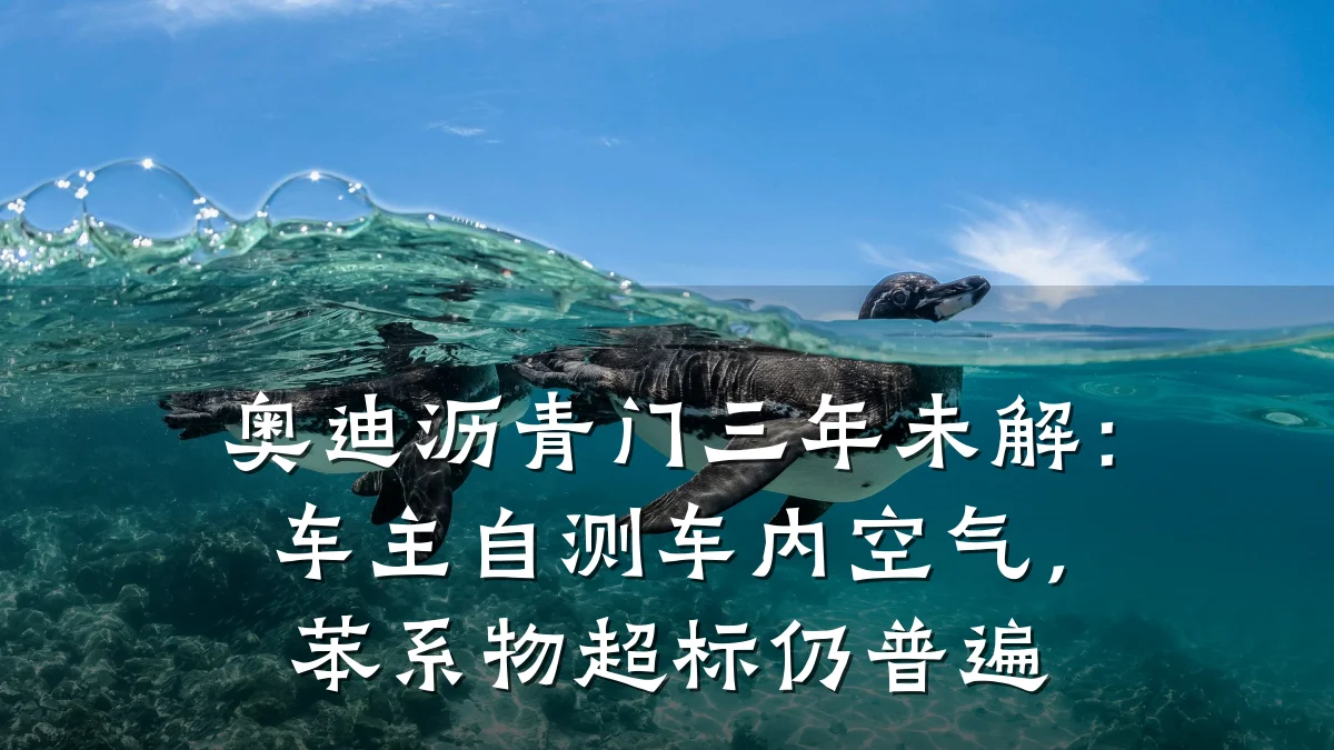 奥迪沥青门三年未解:车主自测车内空气,苯系物超标仍普遍