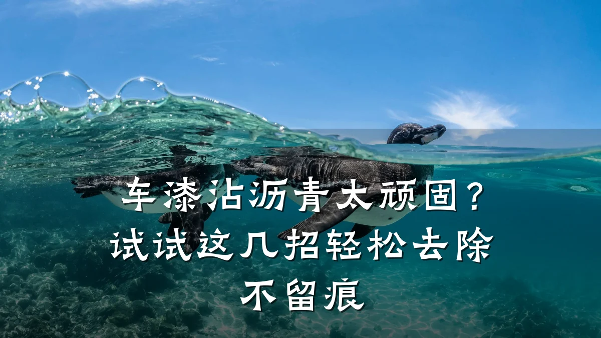 车漆沾沥青太顽固？试试这几招轻松去除不留痕