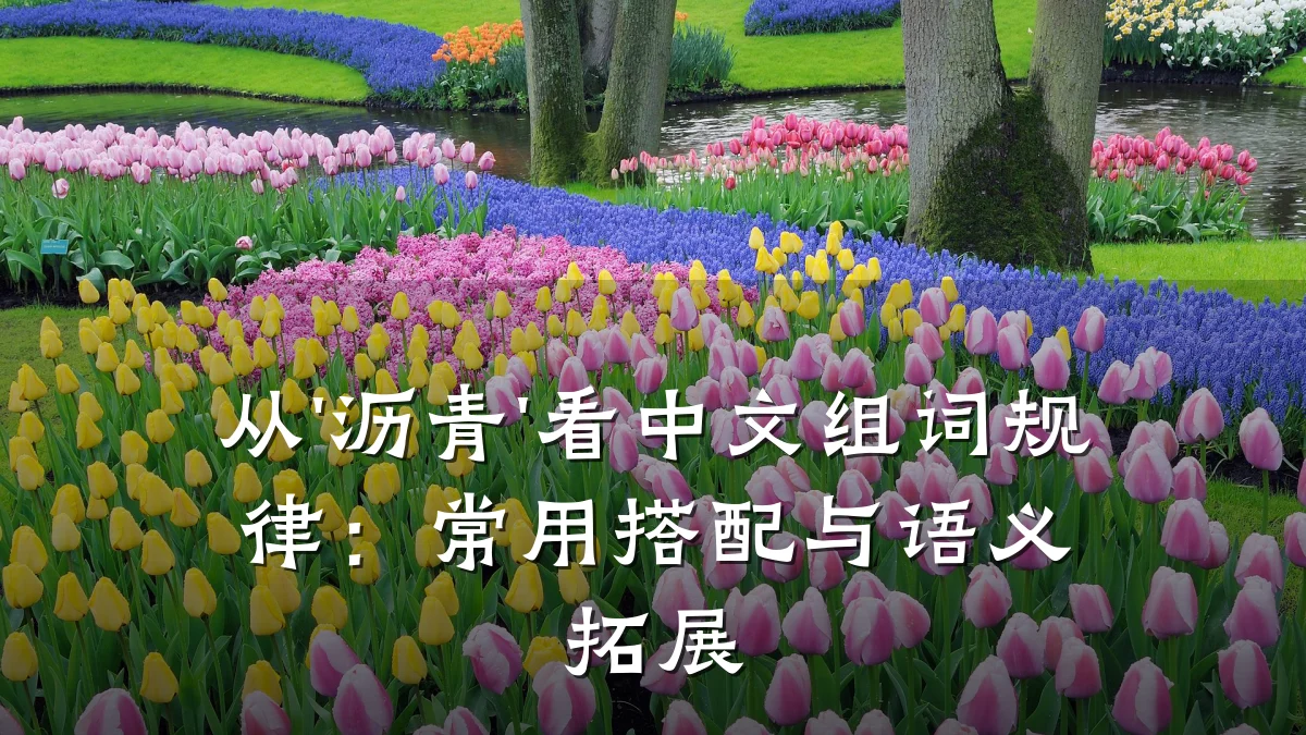 从'沥青'看中文组词规律：常用搭配与语义拓展