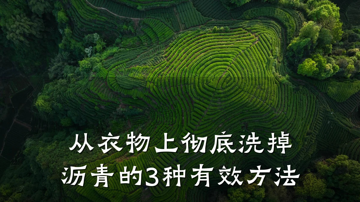 从衣物上彻底洗掉沥青的3种有效方法