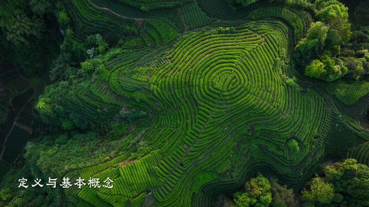 定义与基本概念