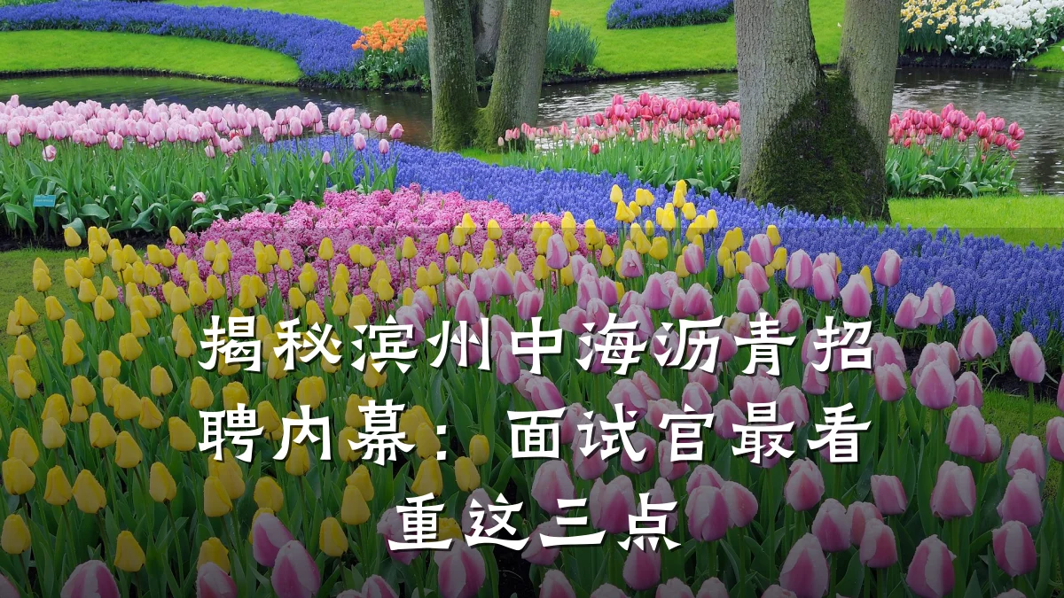 揭秘滨州中海沥青招聘内幕：面试官最看重这三点