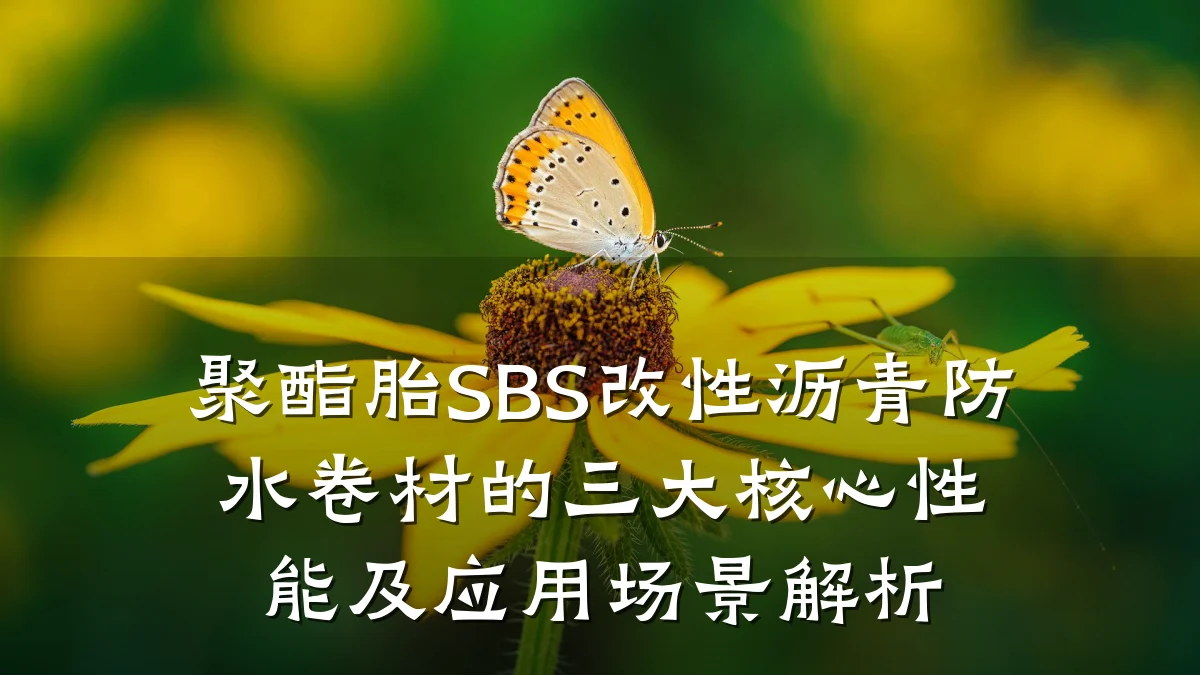 聚酯胎SBS改性沥青防水卷材的三大核心性能及应用场景解析