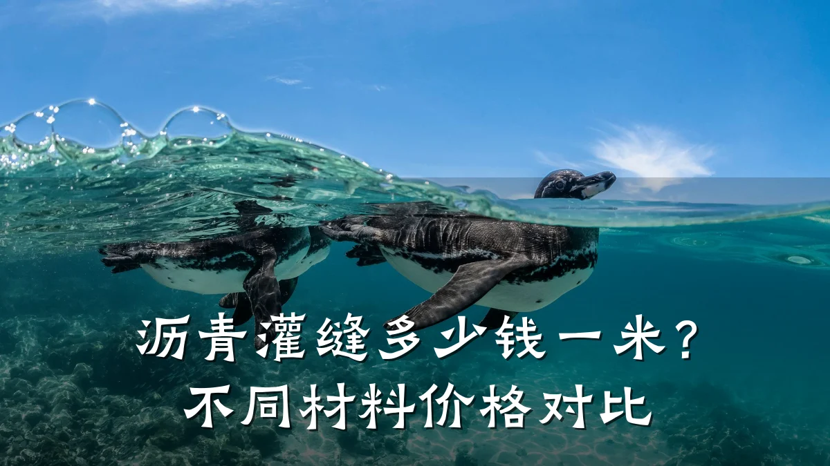 沥青灌缝多少钱一米？不同材料价格对比