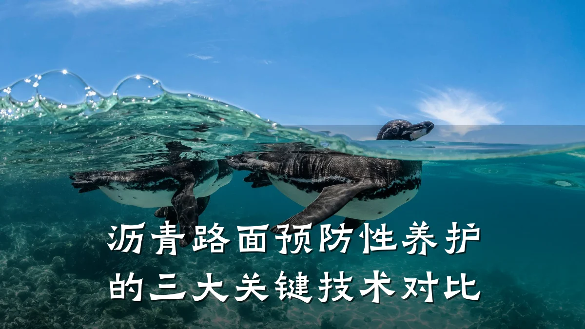 沥青路面预防性养护的三大关键技术对比