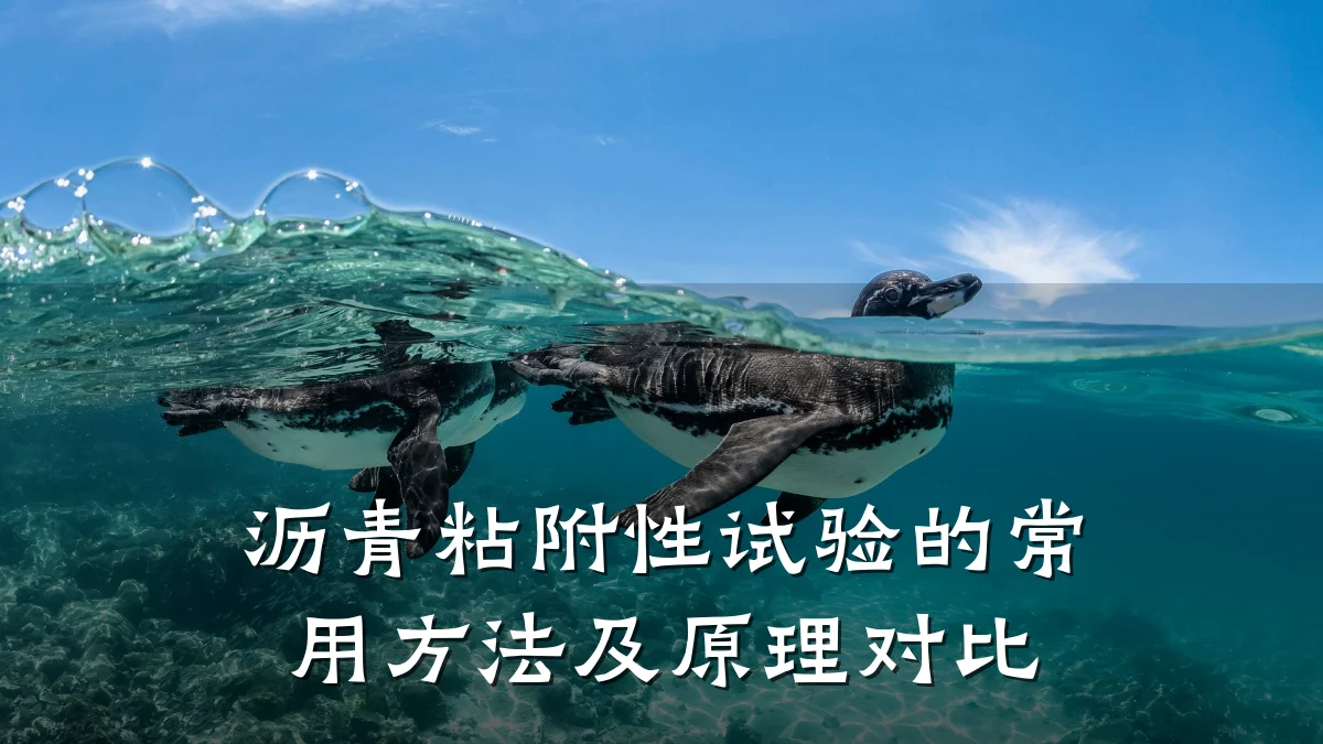 沥青粘附性试验的常用方法及原理对比