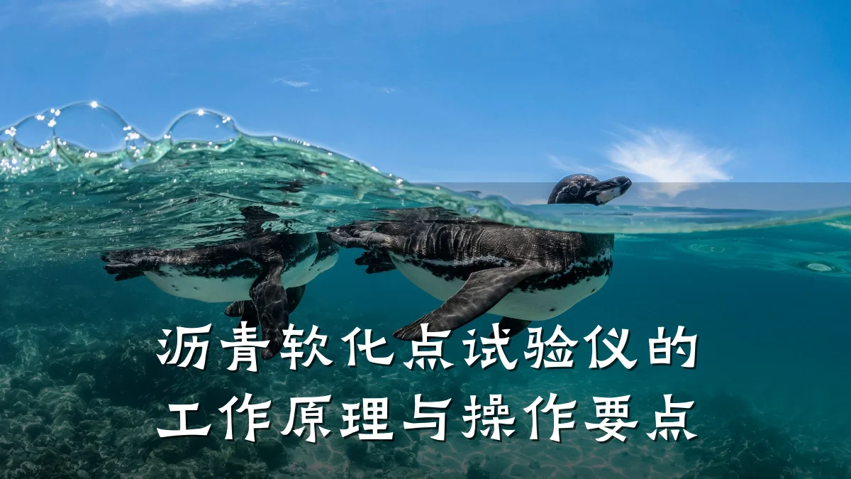 沥青软化点试验仪的工作原理与操作要点