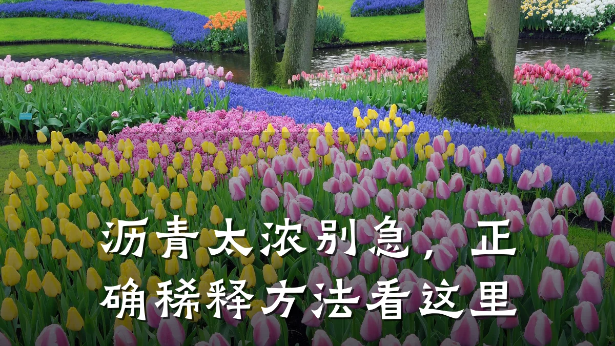 沥青太浓别急,正确稀释方法看这里