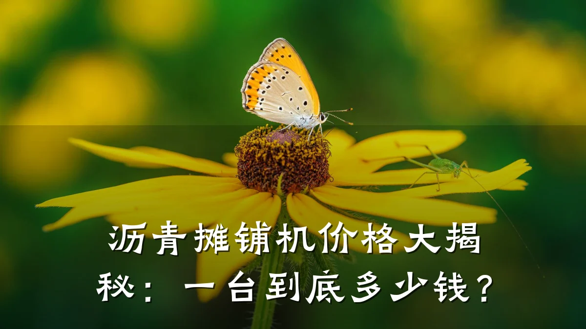 沥青摊铺机价格大揭秘：一台到底多少钱？