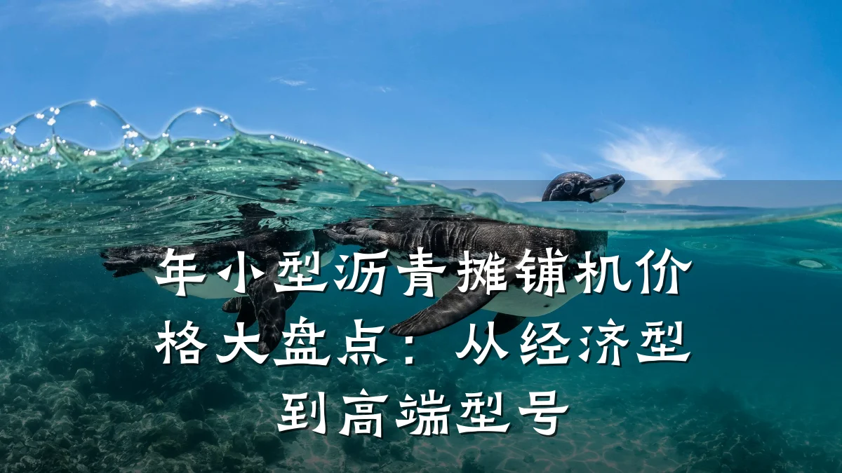年小型沥青摊铺机价格大盘点：从经济型到高端型号