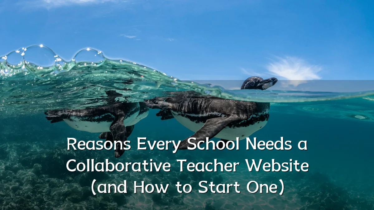 Reasons Every School Needs a Collaborative Teacher Website (and How to Start One)