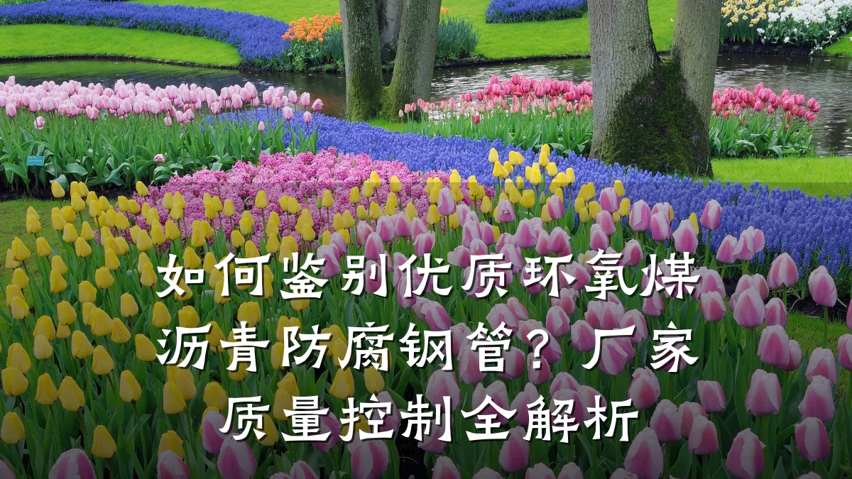 如何鉴别优质环氧煤沥青防腐钢管？厂家质量控制全解析