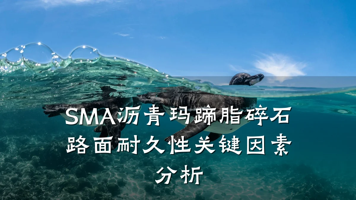 SMA沥青玛蹄脂碎石路面耐久性关键因素分析