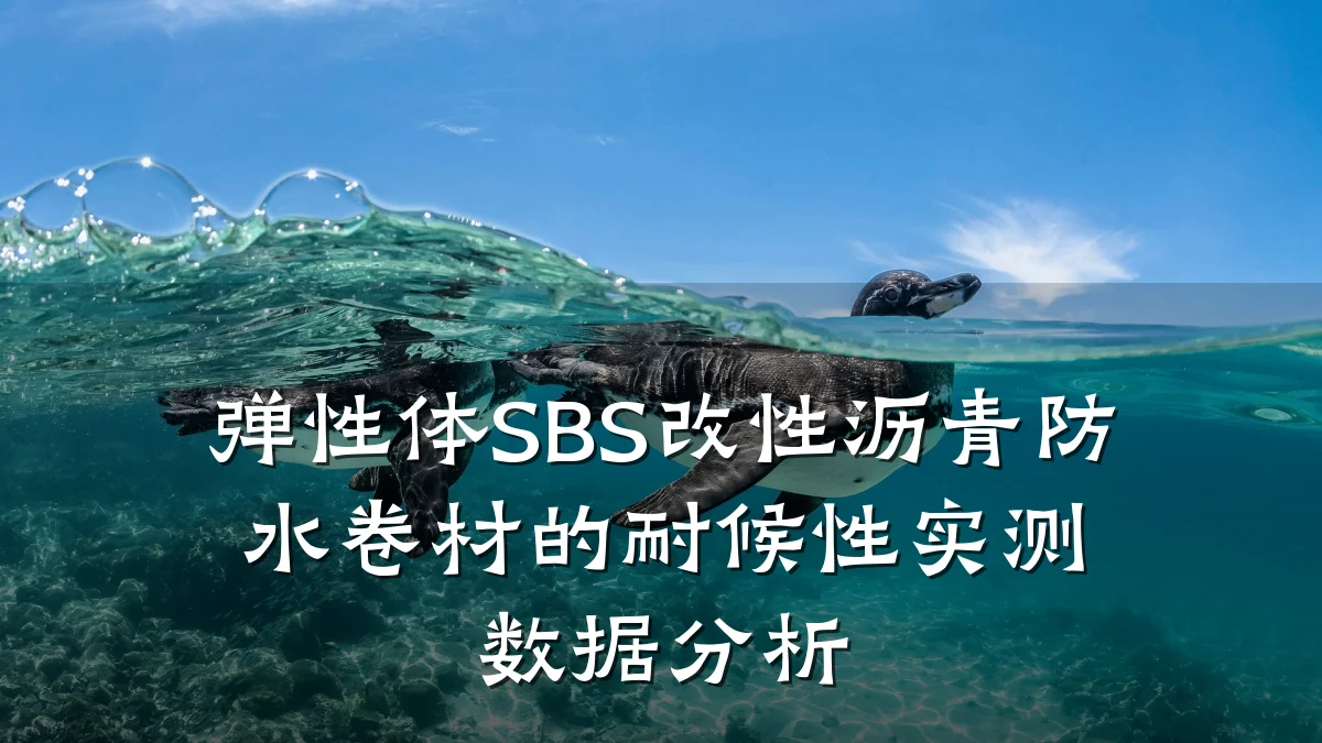 弹性体SBS改性沥青防水卷材的耐候性实测数据分析