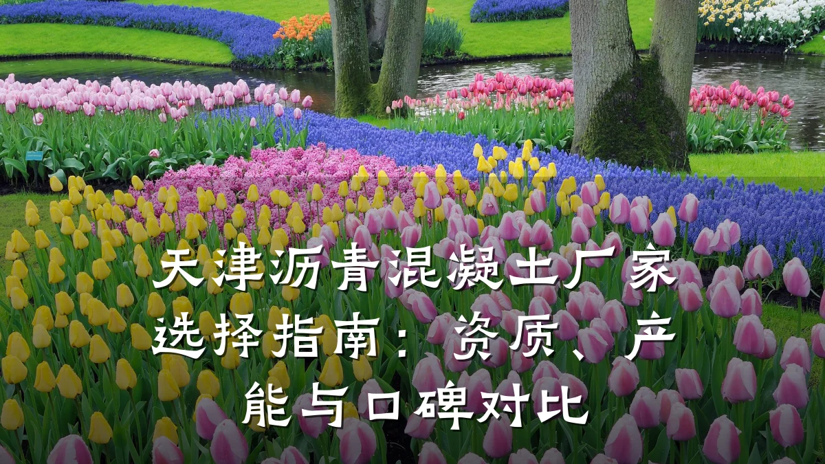 天津沥青混凝土厂家选择指南：资质、产能与口碑对比