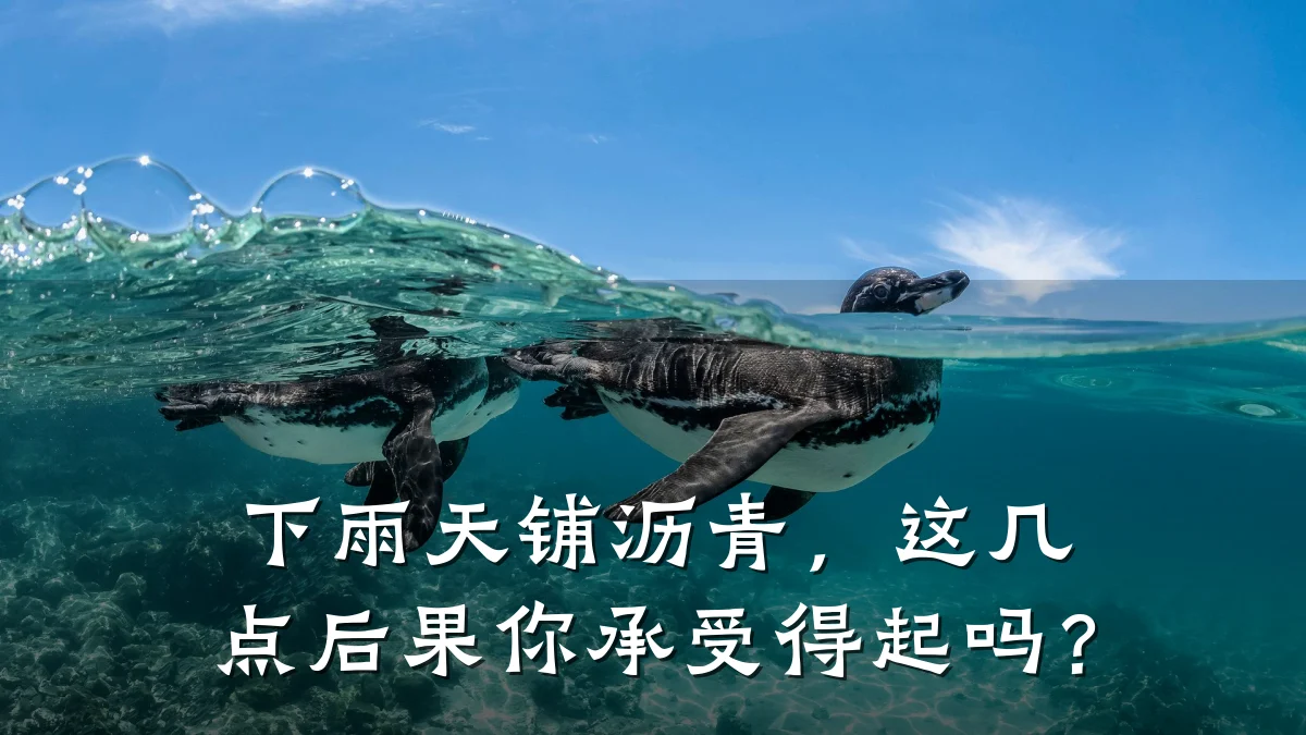 下雨天铺沥青，这几点后果你承受得起吗？
