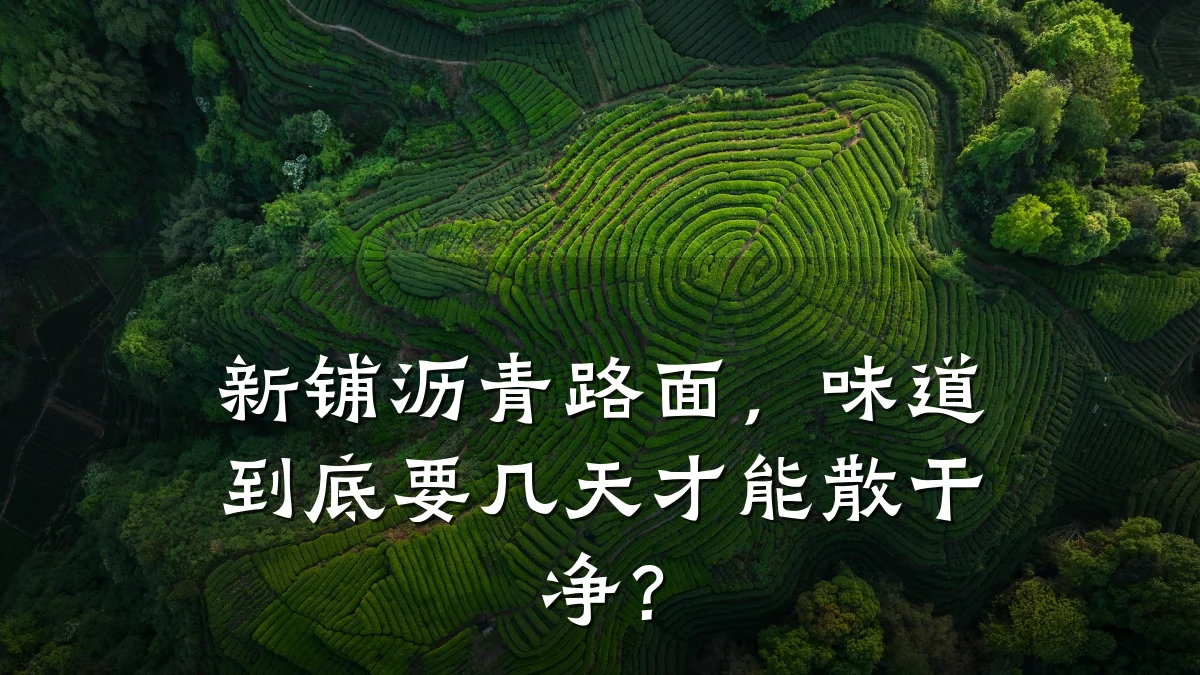 新铺沥青路面，味道到底要几天才能散干净？