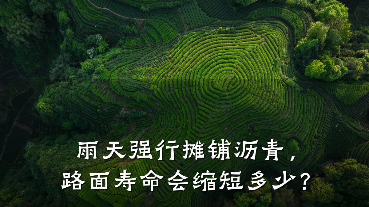 雨天强行摊铺沥青，路面寿命会缩短多少？