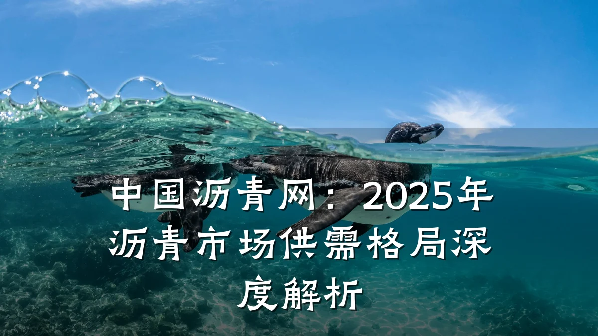 中国沥青网:2025年沥青市场供需格局深度解析